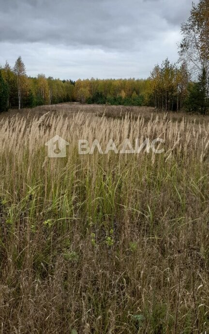 земля р-н Павловский д Самойловка фото 2