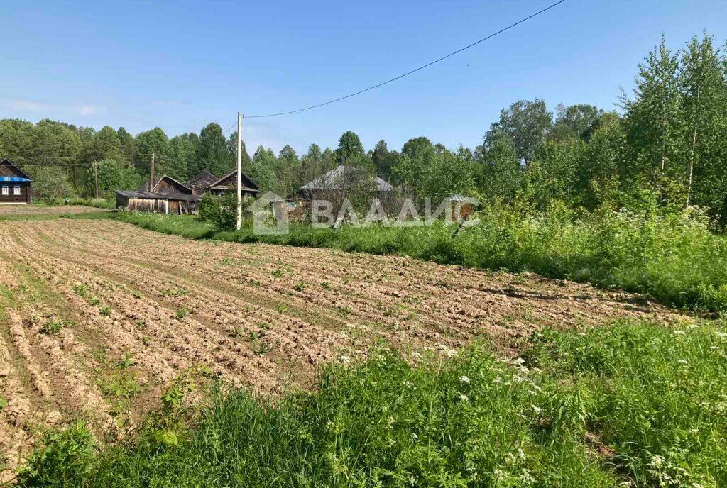 земля городской округ Бор, деревня Зоренки фото 2