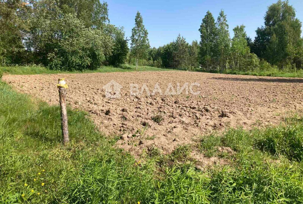 земля городской округ Бор, деревня Зоренки фото 2