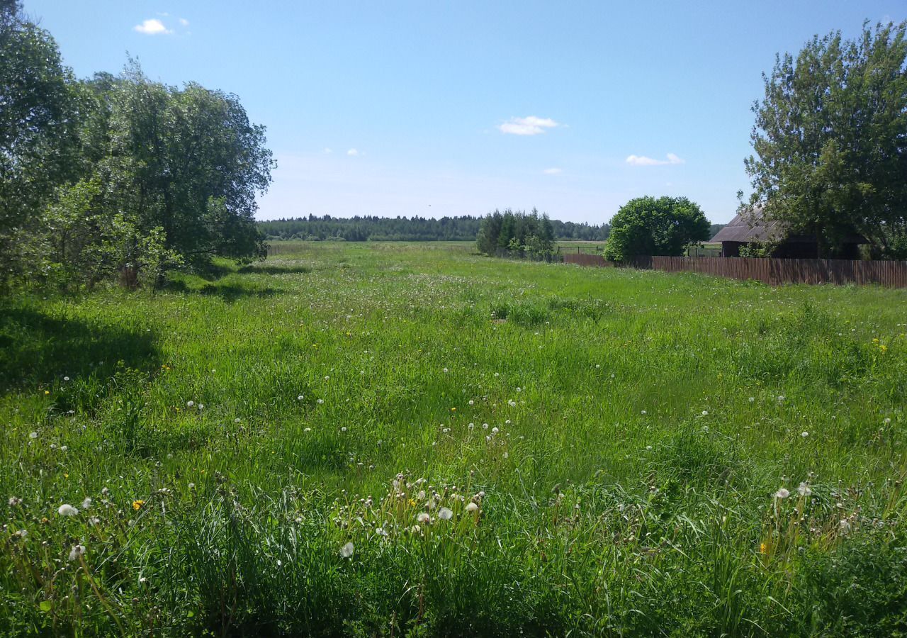 земля городской округ Лотошино д Хранево фото 3