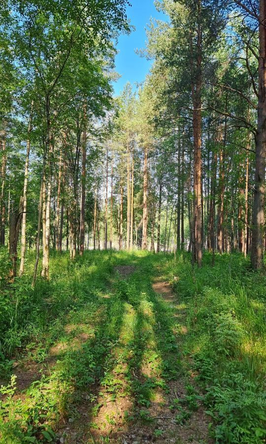 земля р-н Всеволожский п Токсово Бугровское сельское поселение фото 16