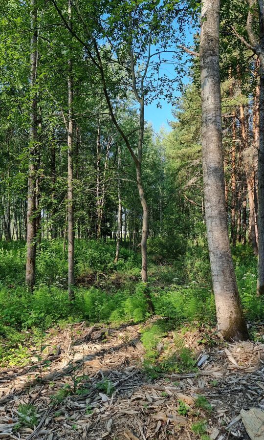 земля р-н Всеволожский п Токсово Бугровское сельское поселение фото 22