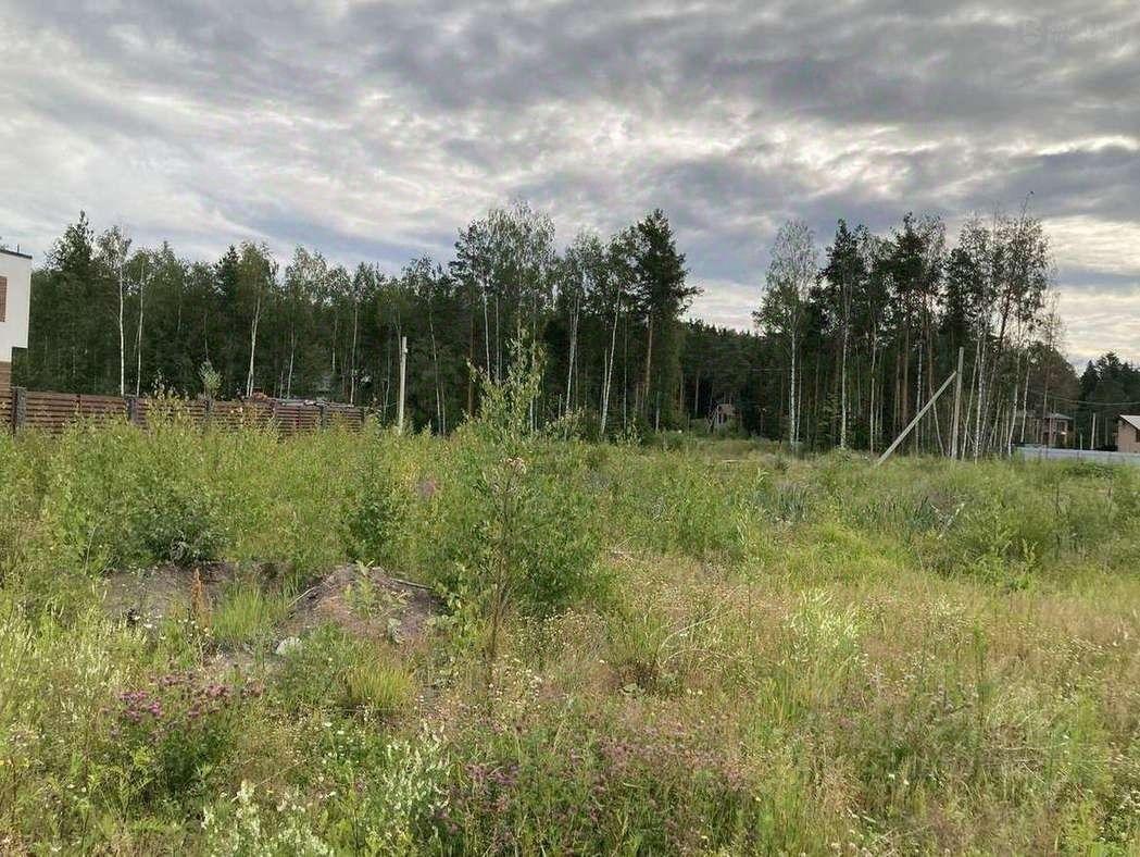 земля р-н Выборгский Санкт-Петербург, Парголово, Вокзальное шоссе, 25 к 6 фото 1