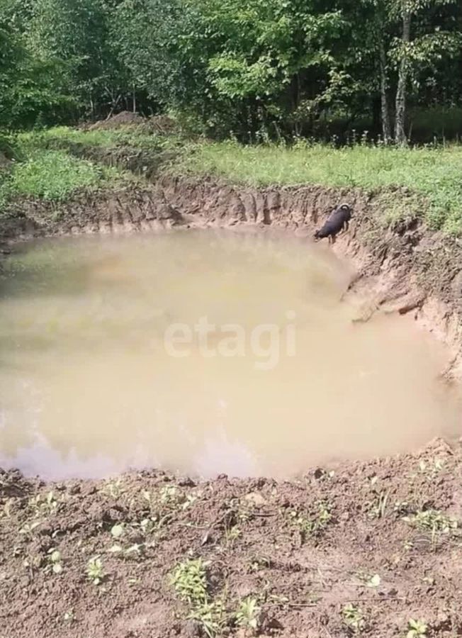 дом р-н Хабаровский Еврейская автономная область, Смидович фото 5