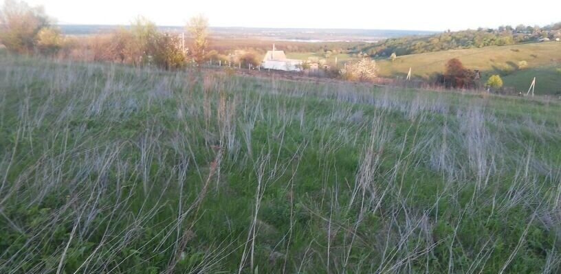 земля р-н Курский д Сапогово снт Биолог Пашковский сельсовет, Курск фото 5