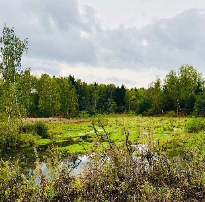 земля городской округ Наро-Фоминский д Волчёнки фото 9