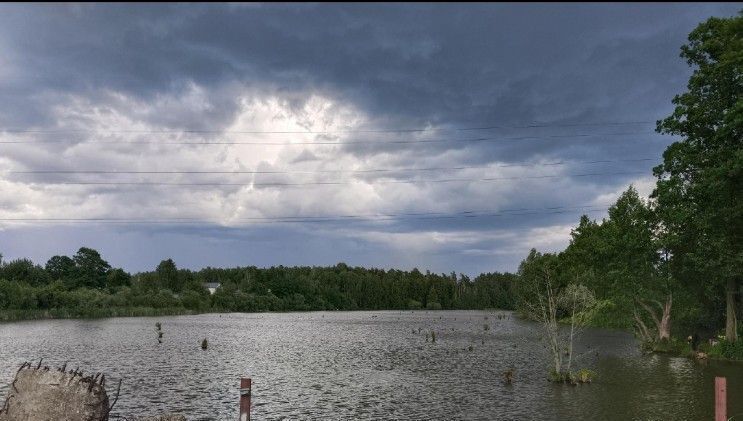 земля г Раменское снт Полушкино-2 Некрасовка, 121, Раменский городской округ фото 15