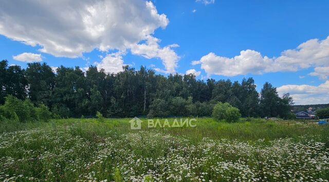 земля п Правдинский 68, Пушкинская Дубрава Кп, 141261 фото