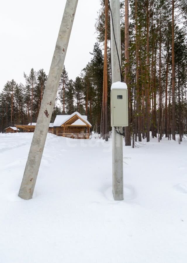 земля р-н Тюменский снт Маяк Аничковская ул, Ханты-Мансийский АО, Сургут фото 4