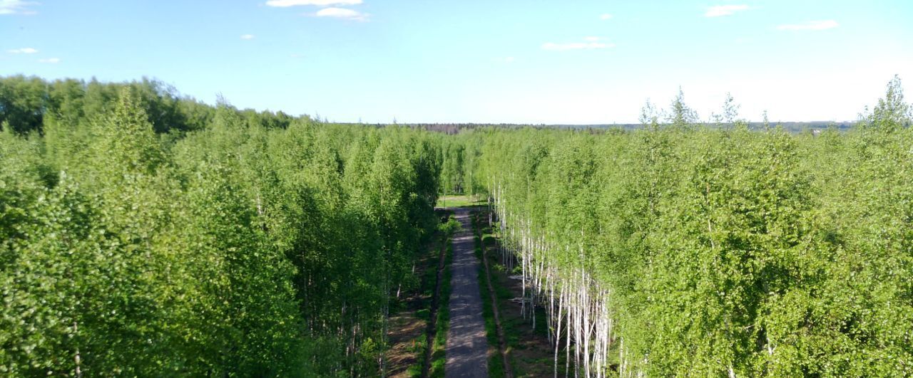 земля городской округ Солнечногорск д Кривцово фото 12