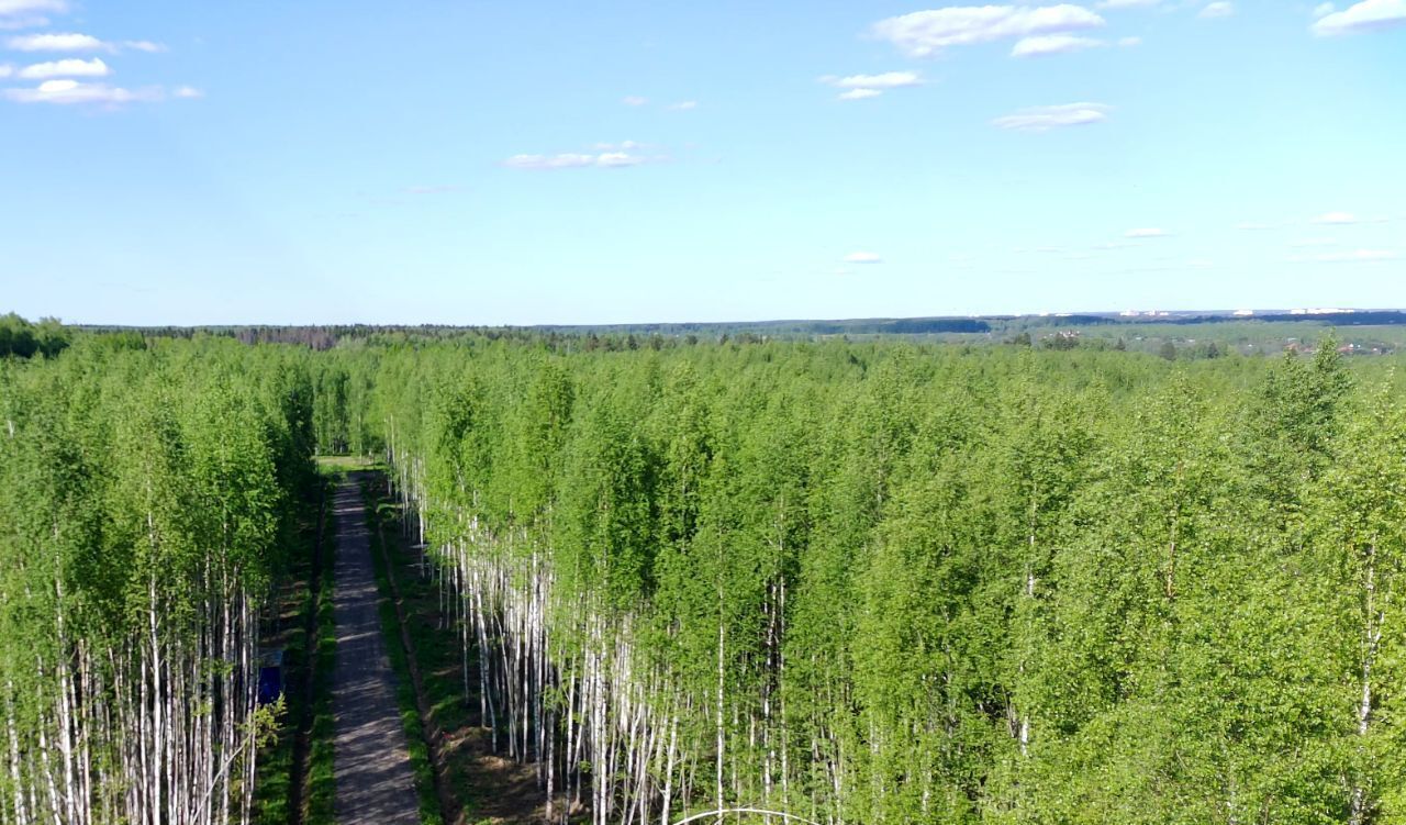 земля городской округ Солнечногорск д Якиманское ул Березовая фото 13