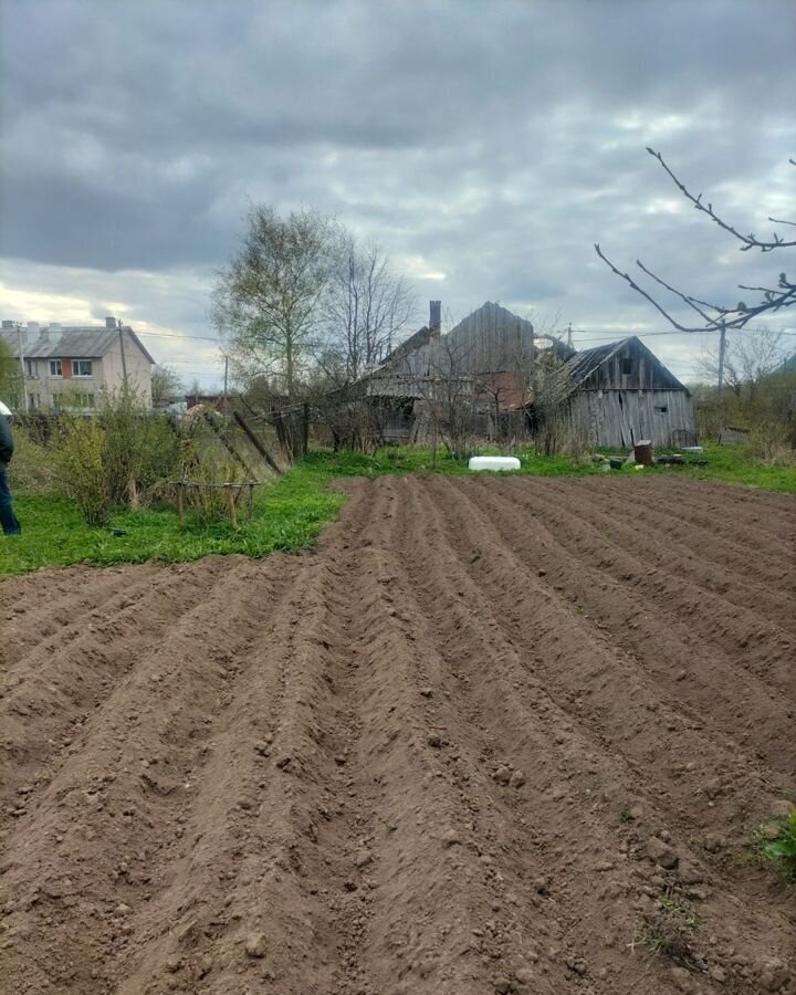 земля р-н Батецкий п Батецкий ул Комарова Ленинградская область, Луга фото 4