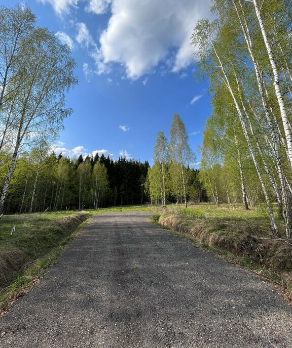 земля городской округ Чехов д Леониха фото 8