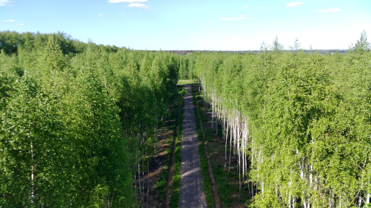 земля городской округ Солнечногорск д Якиманское 2А, Обухово фото 12