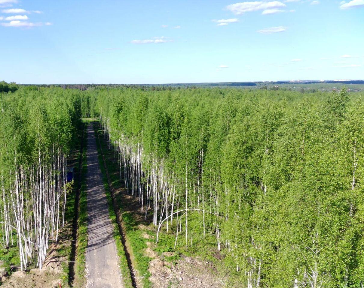 земля городской округ Солнечногорск д Якиманское 2А, Обухово фото 13