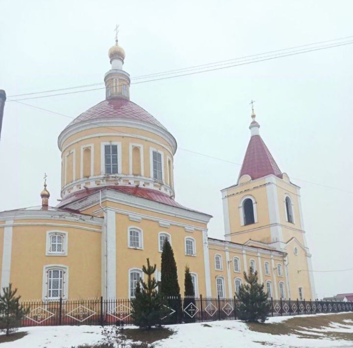 дом р-н Борисовский с Стригуны ул Городок 1а Стригуновское с/пос фото 8