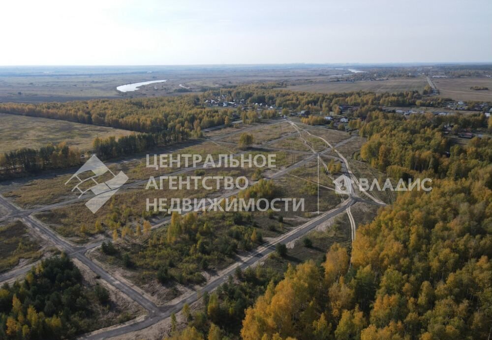 земля р-н Рязанский с Семкино Мурминское сельское поселение, Мурмино фото 2