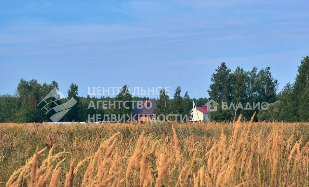 земля р-н Рязанский с Семкино Мурминское сельское поселение, Мурмино фото 4