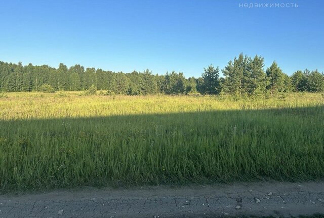 р-н Пензенский с Алферьевка Алферьевский сельсовет фото