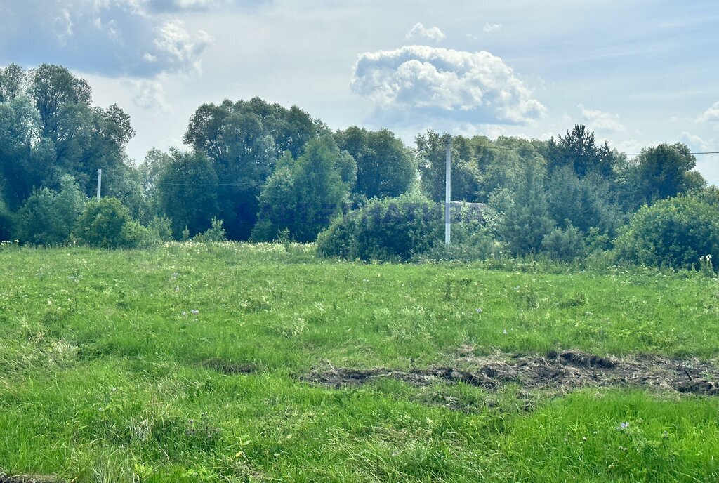 земля р-н Некоузский д Луговая Слобода, городской округ Переславль-Залесский фото 1