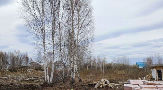 р-н Центральный снт Луч ул Высоковольтная фото