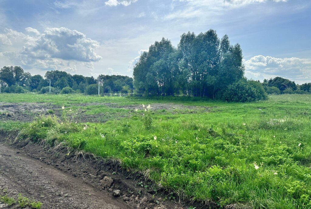 земля р-н Некоузский д Луговая Слобода, городской округ Переславль-Залесский фото 3