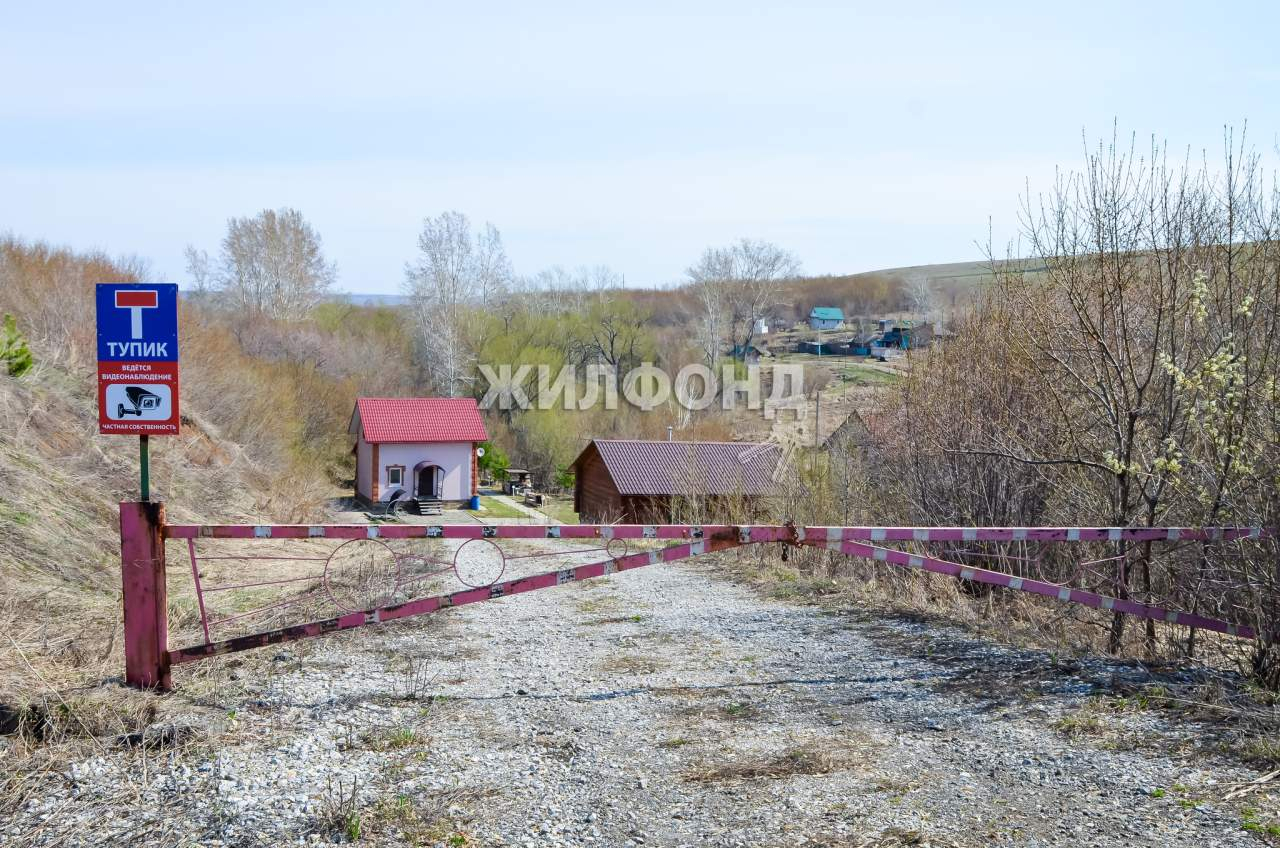 дом р-н Алтайский п Даниловка ул Лесная фото 23