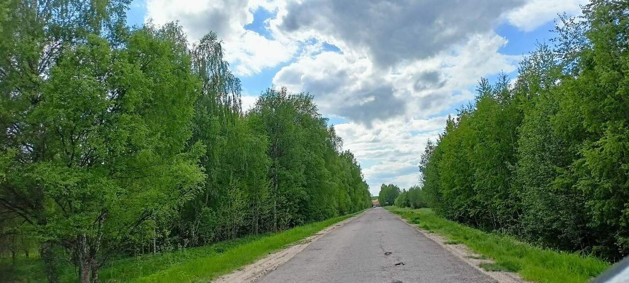 земля р-н Ярославский станция Телищево, Зеленое садовое товарищество фото 5