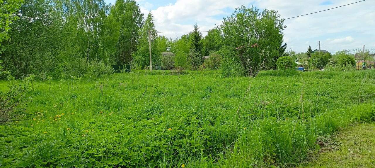 земля р-н Ярославский станция Телищево, Зеленое садовое товарищество фото 9