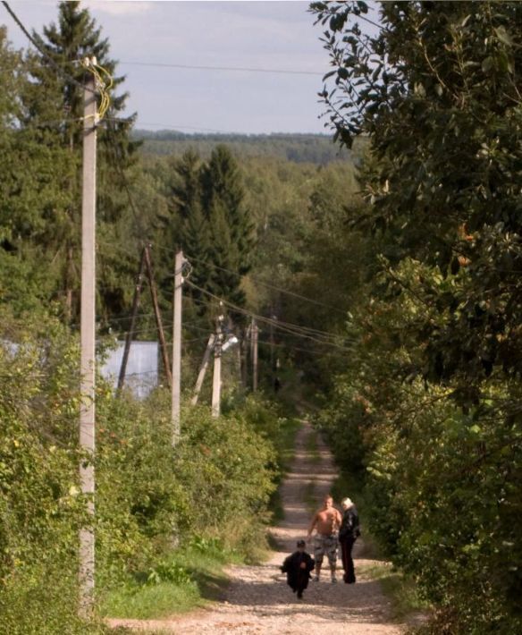 земля городской округ Сергиево-Посадский д Воронино снт Рабочий фото 2