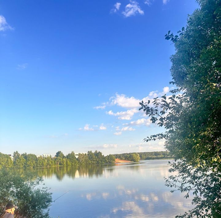 дом г Домодедово д Минаево Минаево ИЖС кп фото 21