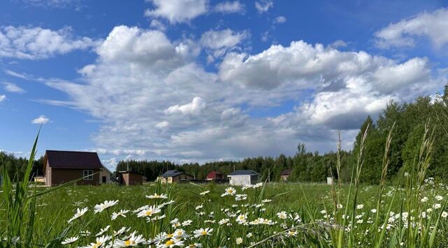 Переславль-Залесский городской округ фото