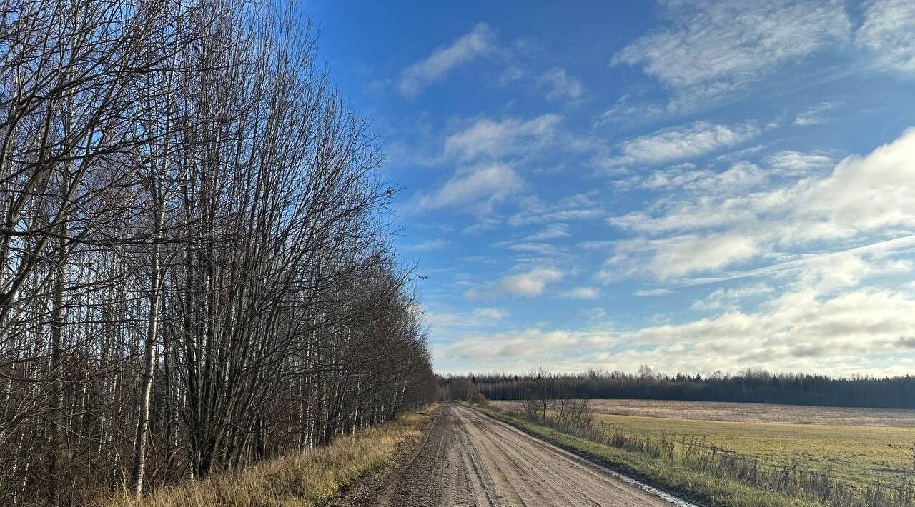 земля р-н Переславский с Алферьево Переславль-Залесский городской округ фото 1