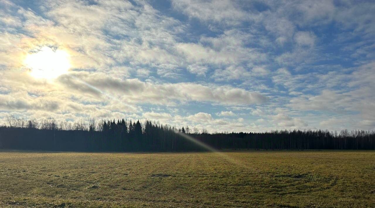 земля р-н Переславский с Алферьево Переславль-Залесский городской округ фото 4