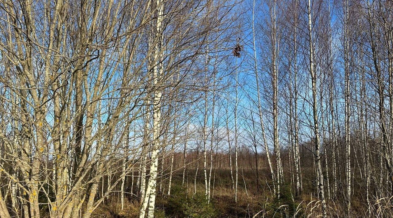 земля р-н Переславский с Алферьево Переславль-Залесский городской округ фото 3