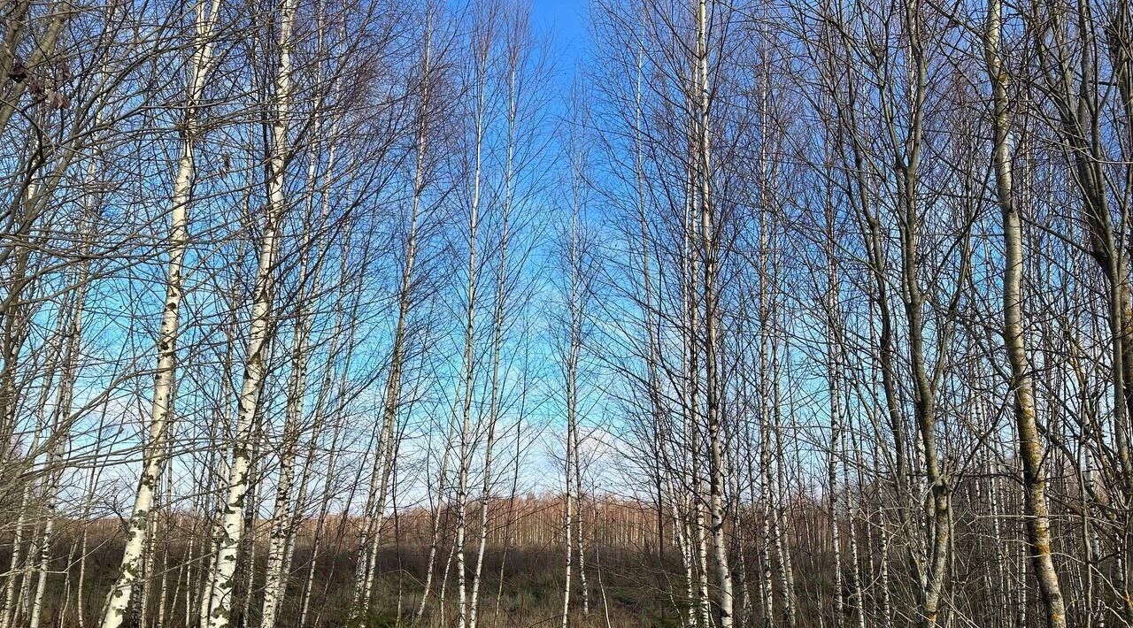 земля р-н Переславский с Алферьево Переславль-Залесский городской округ фото 2