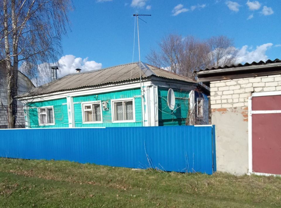 дом р-н Сасовский с Любовниково ул Центральная фото 3