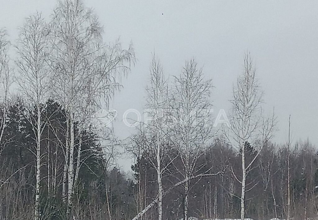 земля р-н Нижнетавдинский с Тюнево Тюмень, Центральный фото 21