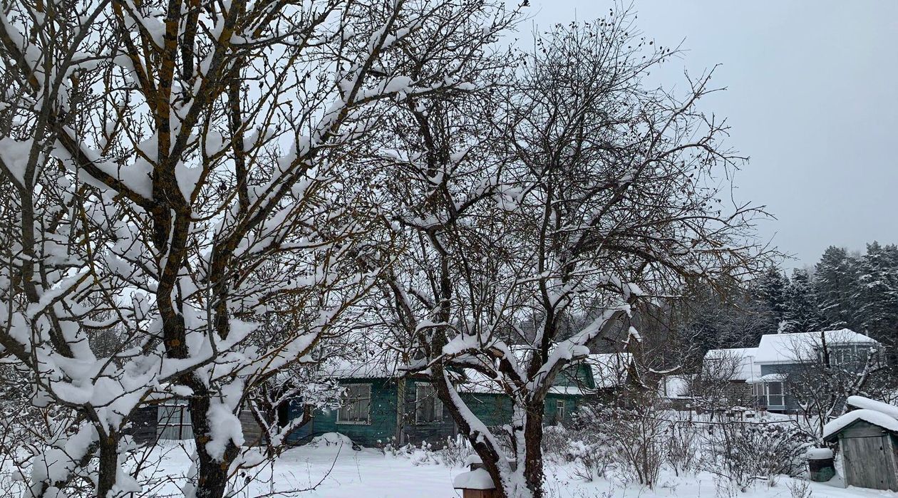 земля р-н Переславский снт Химик-2 ул 5-я Переславль-Залесский городской округ фото 7