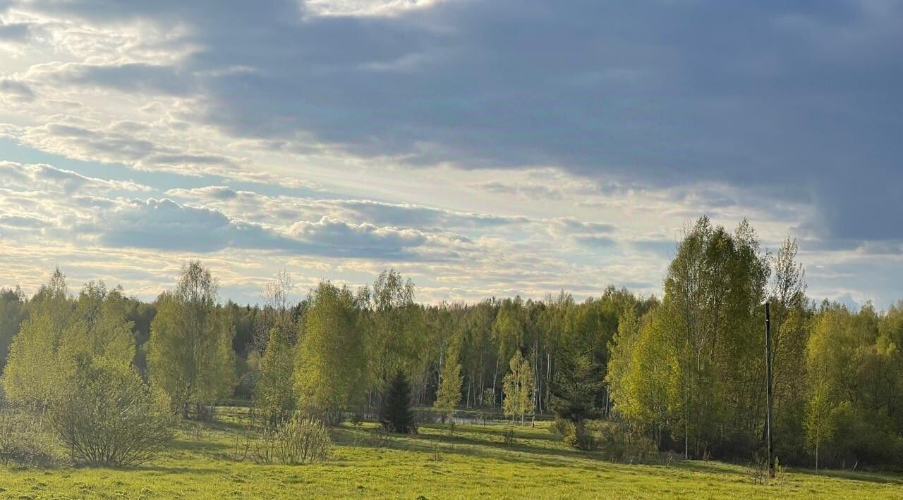 дом р-н Переславский с Алферьево ул Цветочная Переславль-Залесский городской округ фото 8