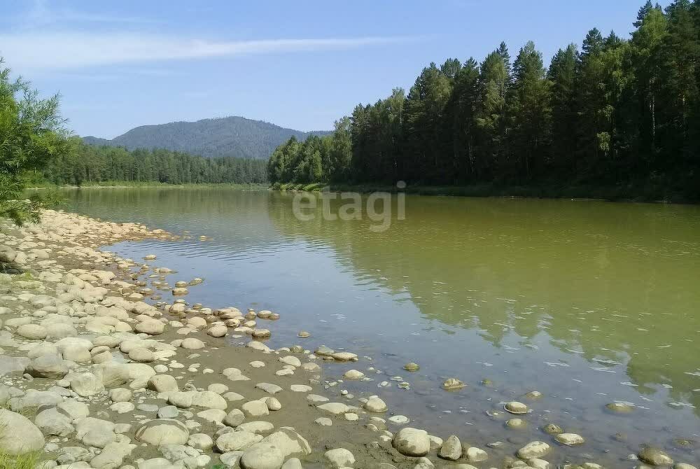 земля р-н Крапивинский п Медвежка — Кузбасс фото 4