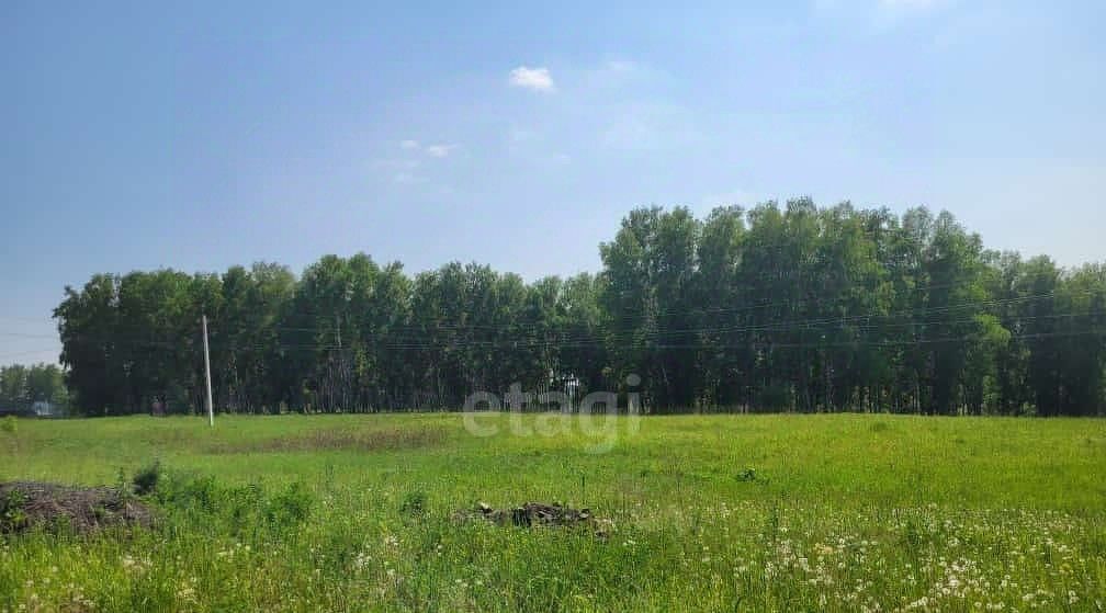 земля Кемеровский муниципальный округ, Мечта СНТ фото 2