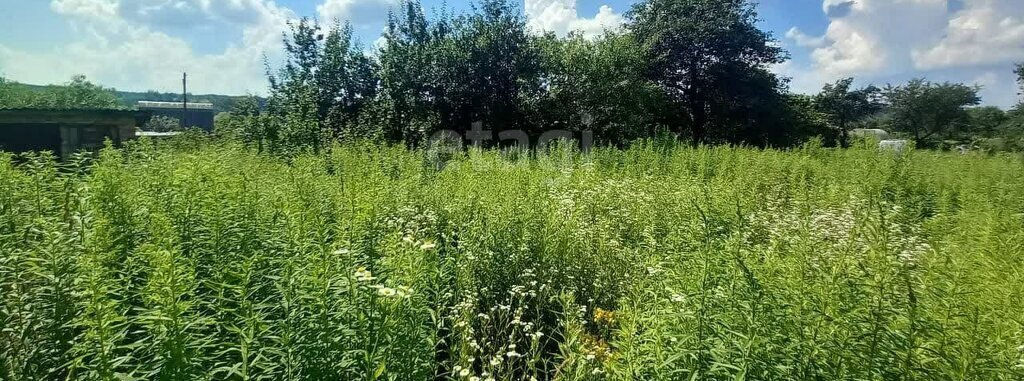 земля р-н Щекинский г Советск товарищество собственников недвижимости Дружба, квартал 3, улица Тараса Бульбы фото 12