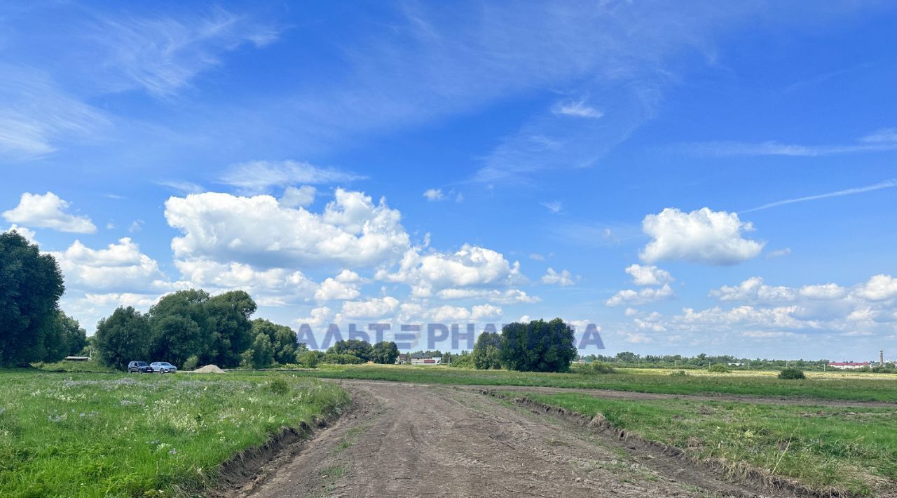 земля р-н Некоузский д Луговая сл, Переславль-Залесский городской округ фото 7