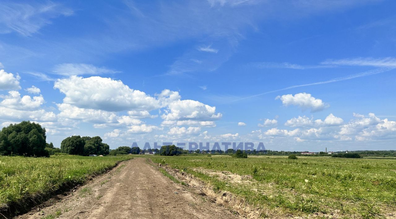 земля р-н Некоузский д Луговая сл, Переславль-Залесский городской округ фото 27