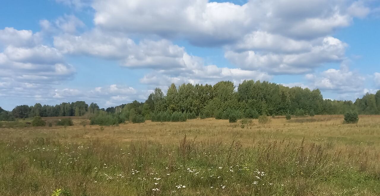 земля р-н Кирово-Чепецкий Фатеевское сельское поселение, Кирово-Чепецк фото 3