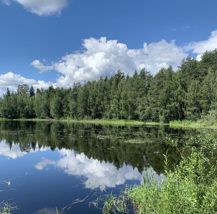 земля г Химки Дачной застройки Кранкино кв-л, Зеленоград — Крюково, ул. Вишневая фото 21