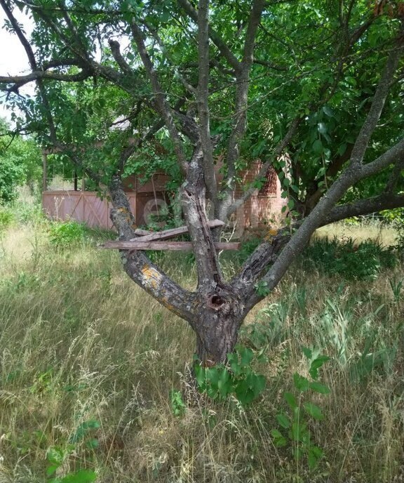 земля р-н Азовский Самарское сельское поселение, садоводческое товарищество имени Гагарина, улица Тружеников фото 3