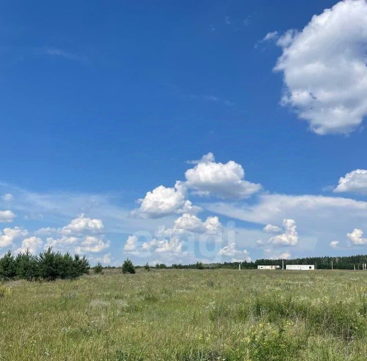 земля р-н Старооскольский с Каплино ул. Триумфальная, Старооскольский городской округ фото 6