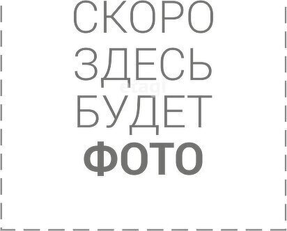 дом г Новосибирск р-н Центральный Берёзовая роща ул Николая Островского фото 5